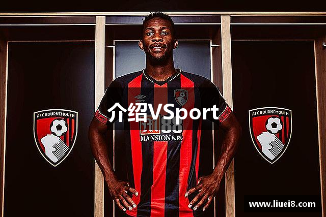 介紹VSport
